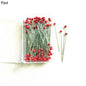 📌 100PCS Épingles de Couture