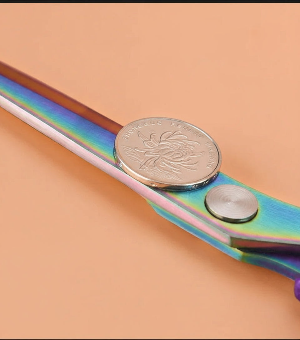 ✂️ Ciseaux de Tailleur Professionnels